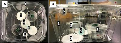 Comparative Adult Mortality and Relative Attractiveness of Spotted-Wing Drosophila (Diptera: Drosophilidae) to Novel Attract-and-Kill (ACTTRA SWD) Formulations Mixed With Different Insecticides